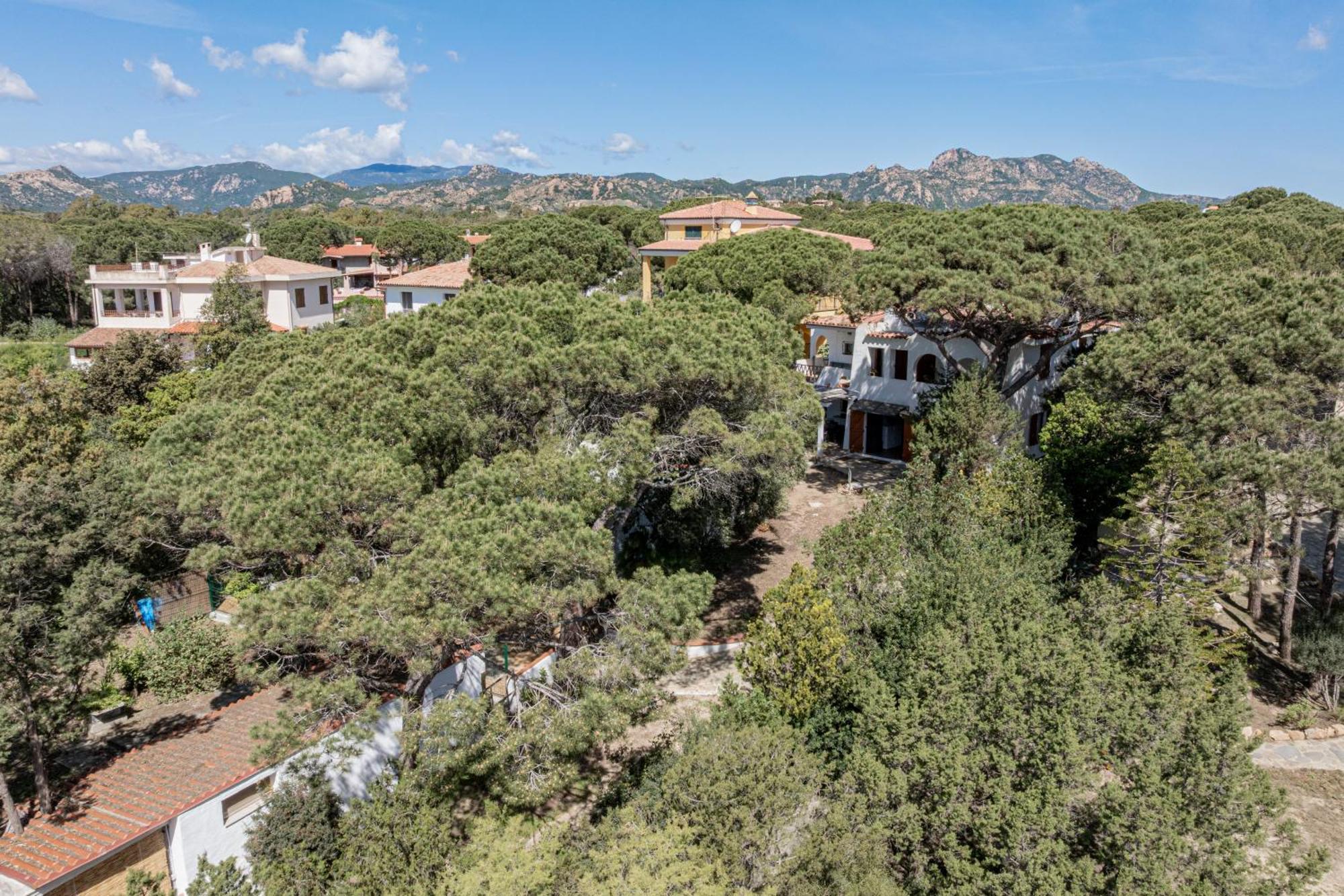 Casa Donatella, In Riva Al Mare! Villa Cala Liberotto Dış mekan fotoğraf
